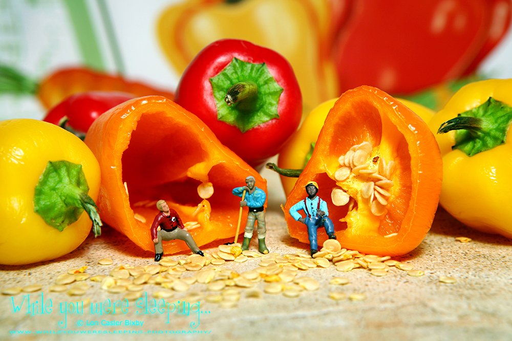 OfficialNeoichi's tweet image. Just taking a break...

#macrophotography #tinypeoplephotography #foodphotography #peppers

whileyouweresleeping.photography
