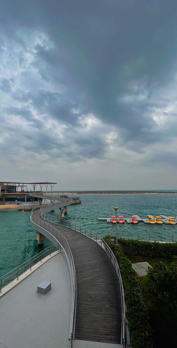 بداح tweet media