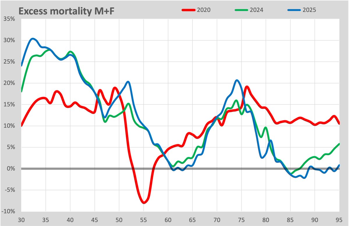 Herman Steigstra tweet media