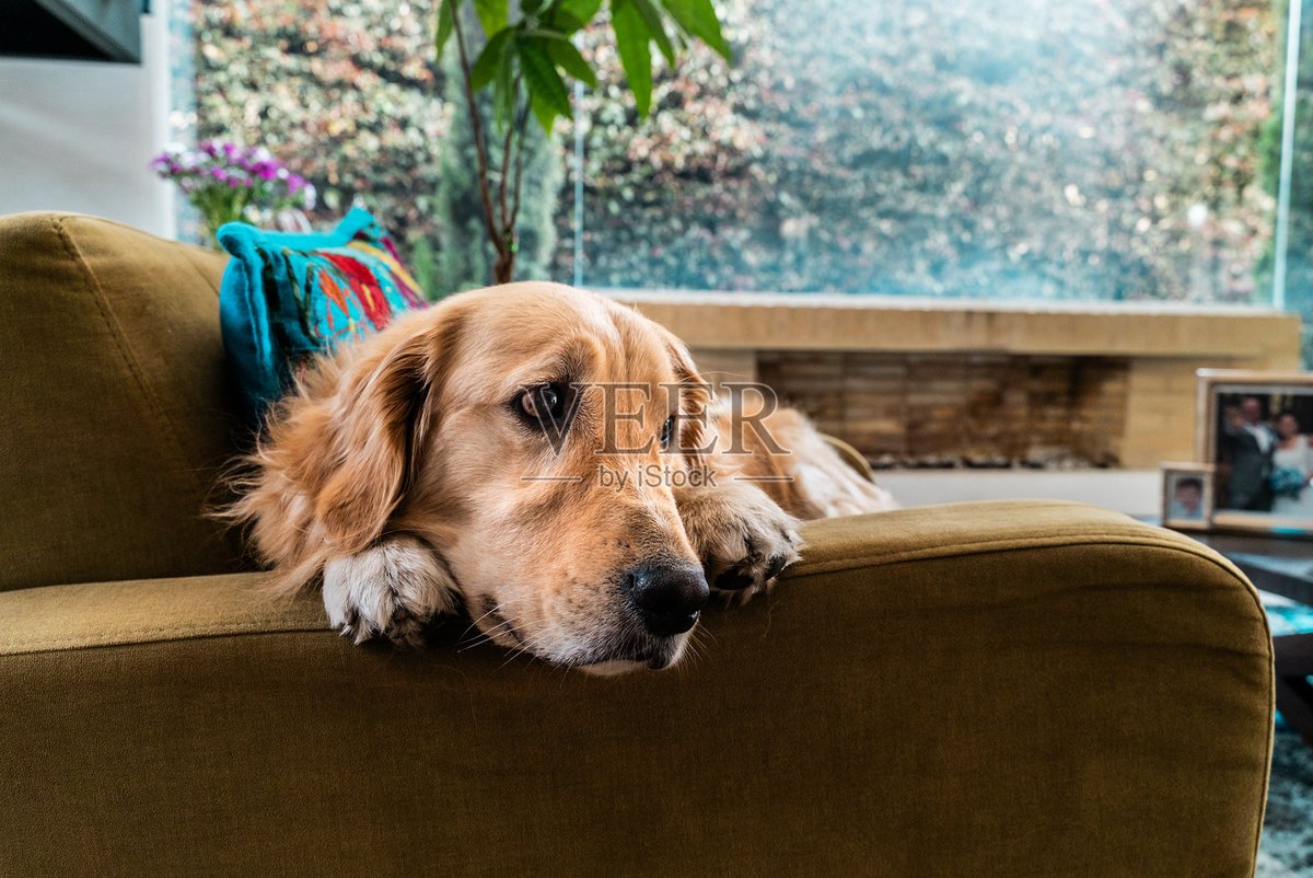 John Withers tweet media