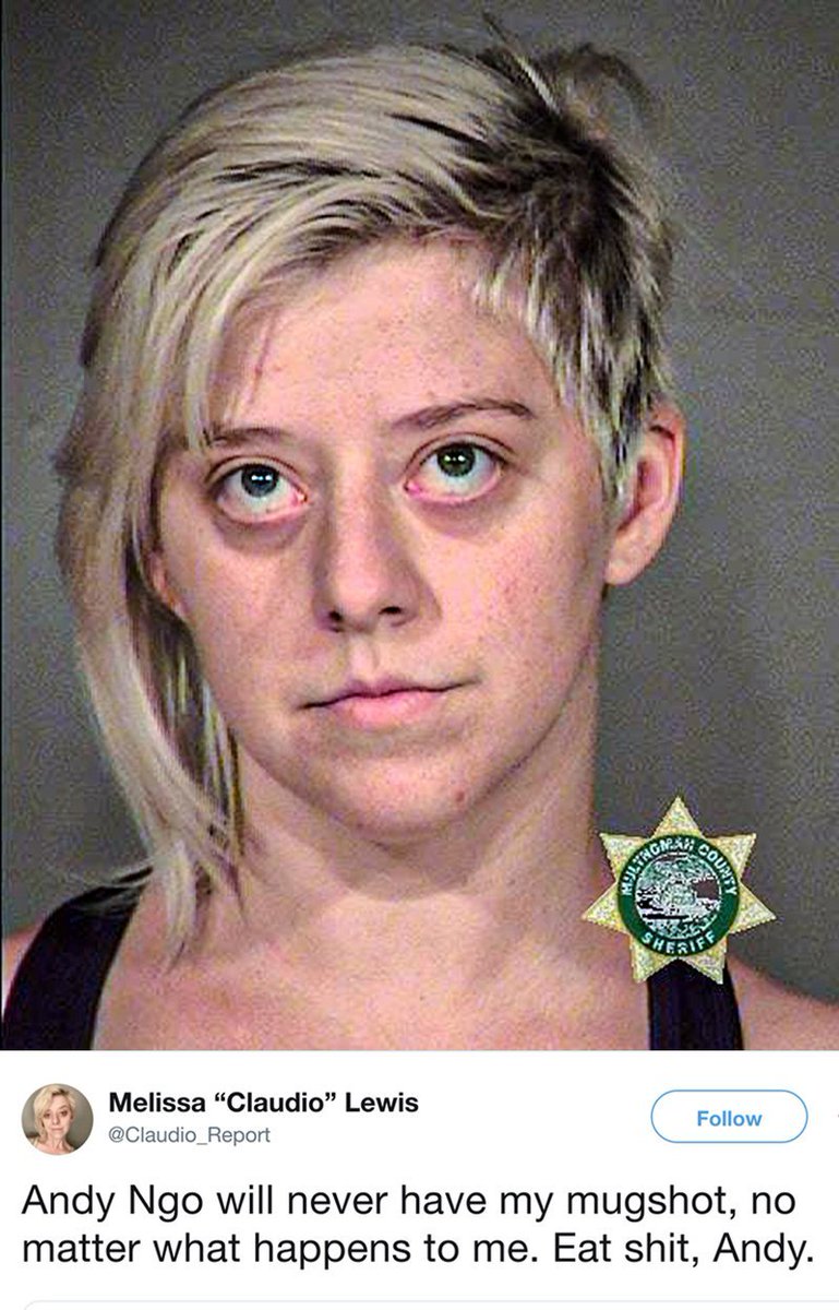 Andy Ngo tweet media
