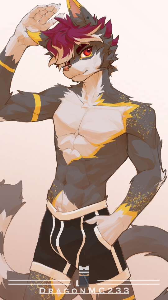 星龙-星辰 tweet media