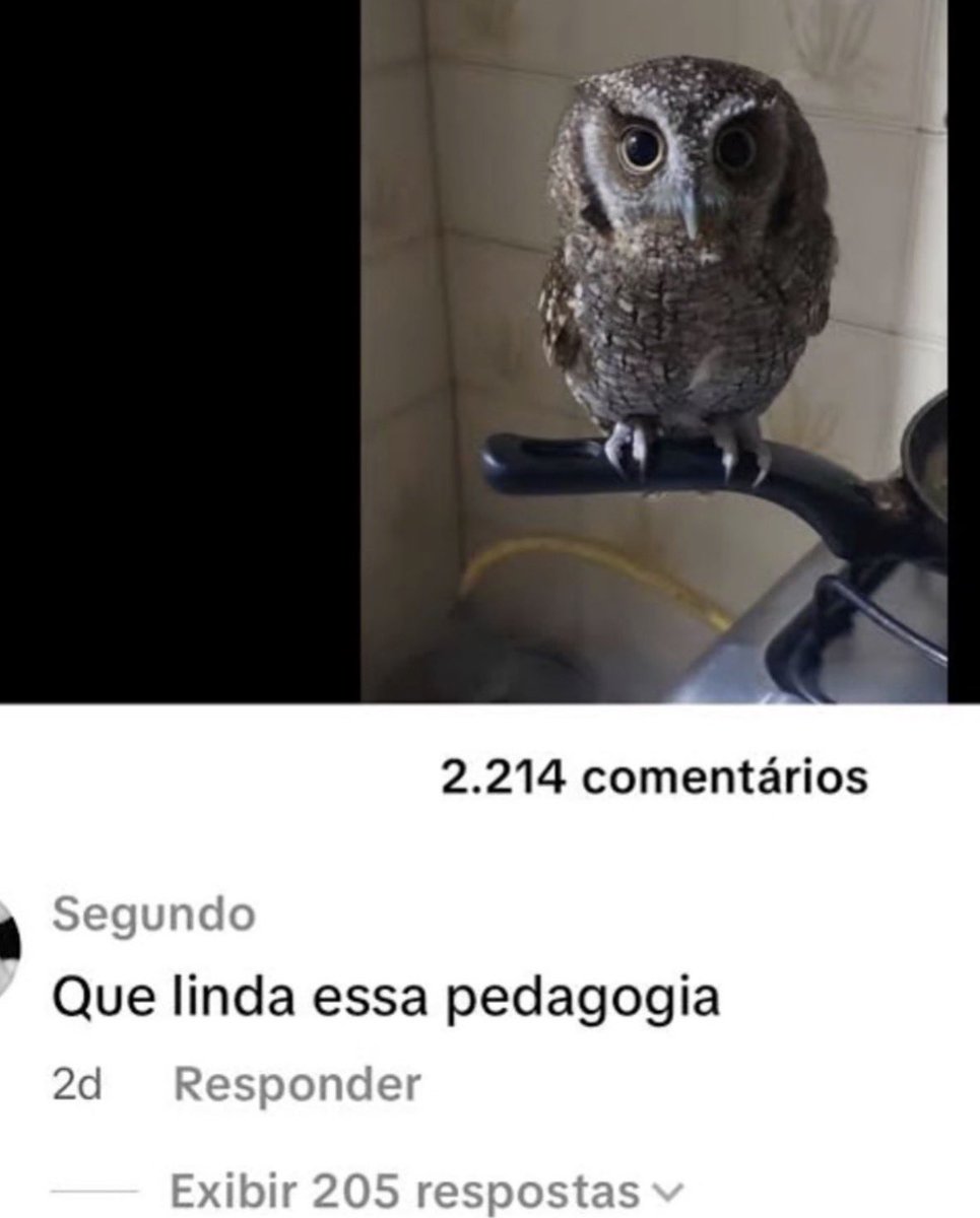 humor que o Maicon faria se nao fosse a militancia tweet media