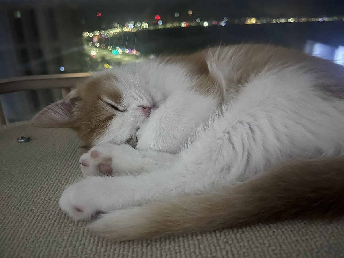 이대못가면죽는병걸림 tweet media