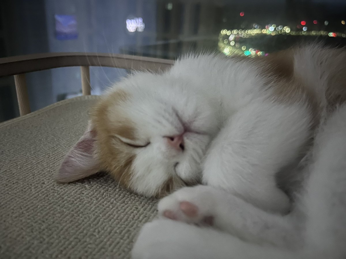 이대못가면죽는병걸림 tweet media