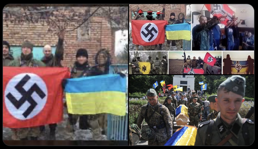 Mr. Bird 🍁🪶 tweet media