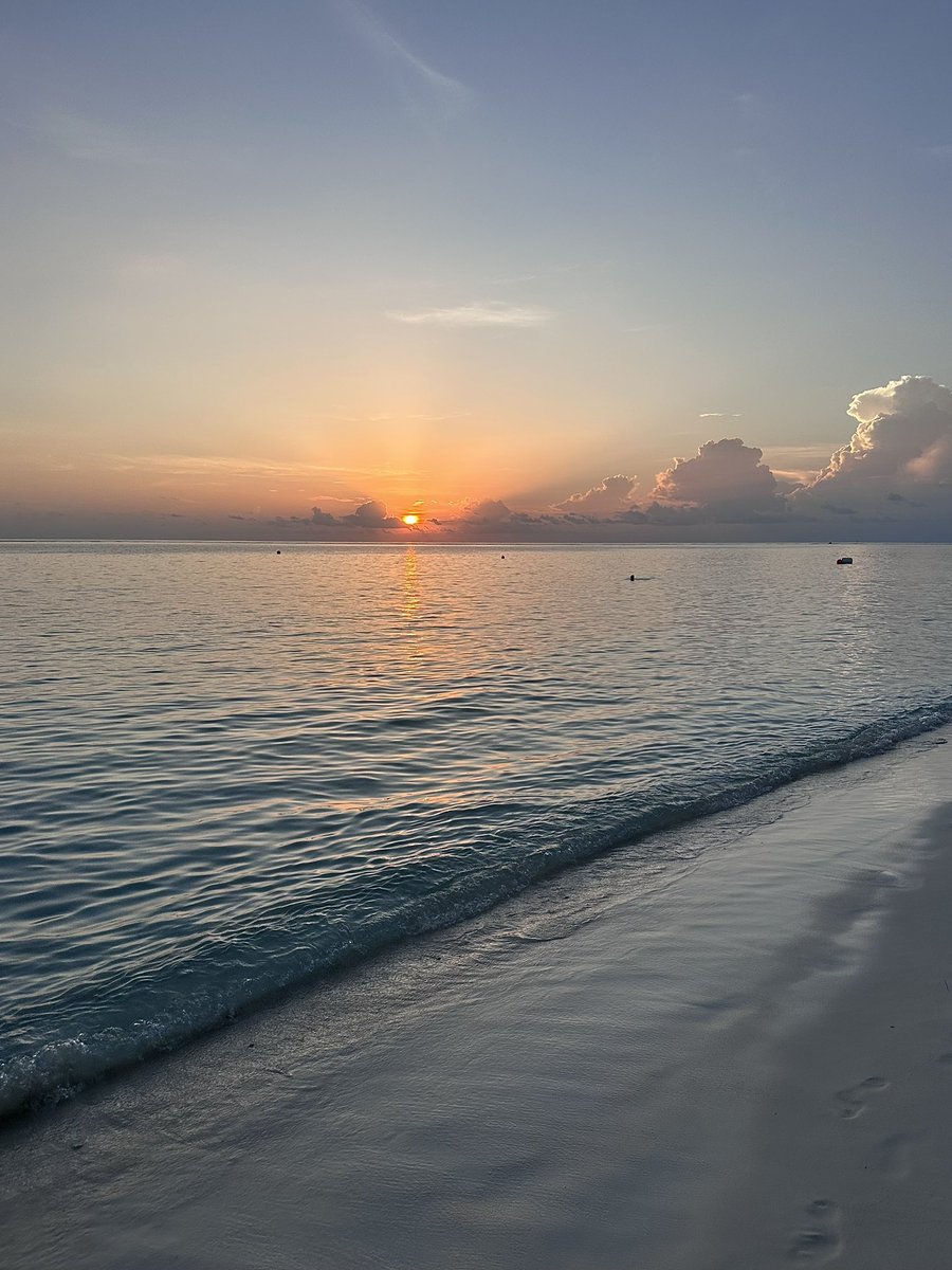 leto_krasnoe_propela tweet media