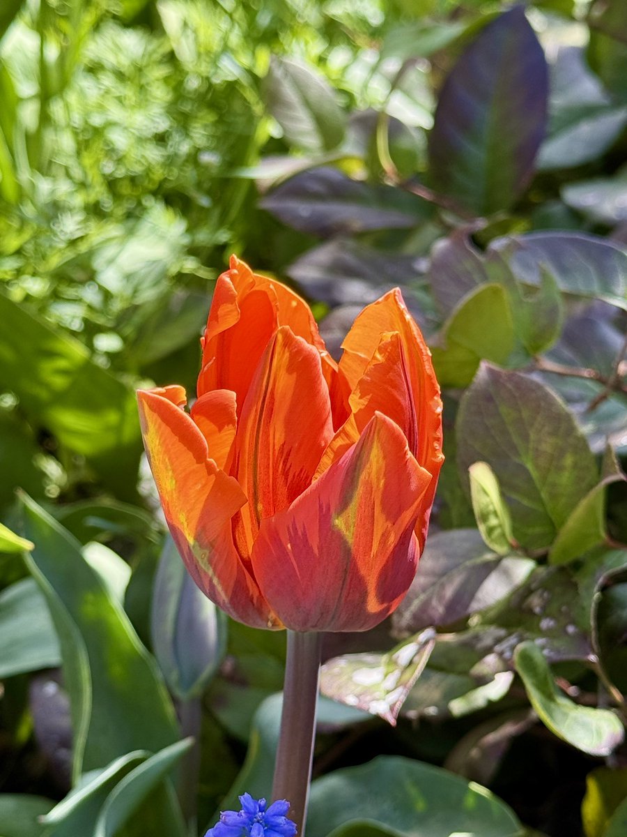 Scott = Blue Ghost 💙👻🏴‍☠️ tweet media