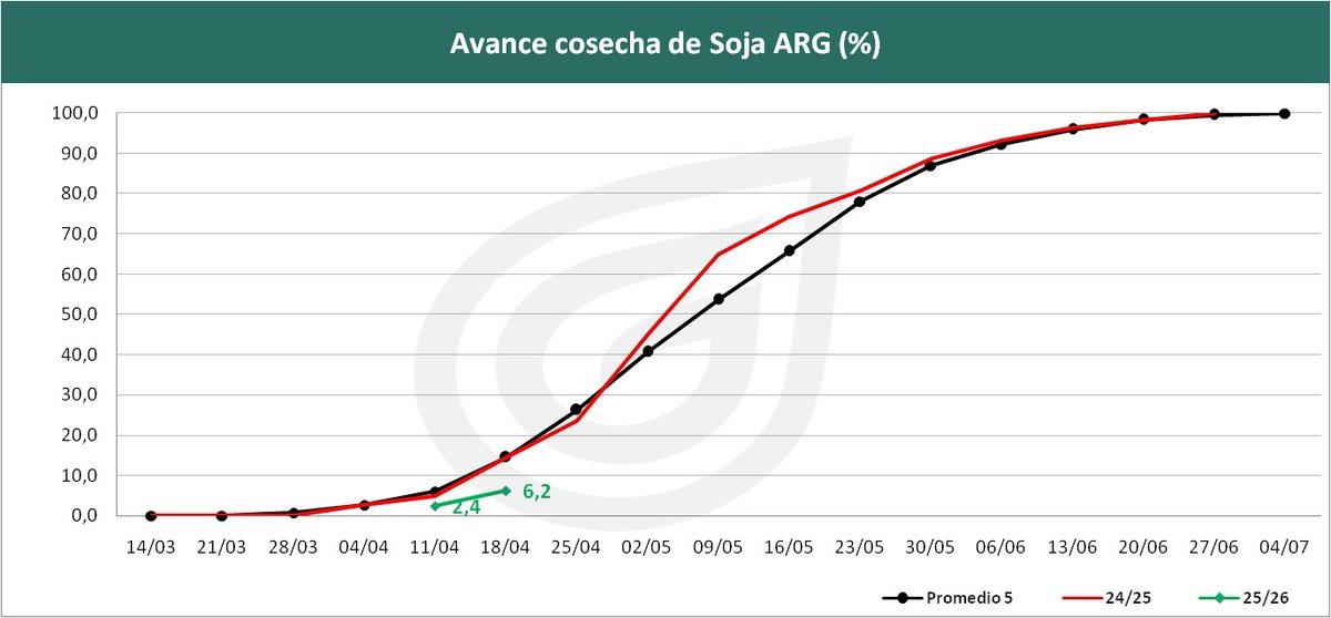 Grassi_SA tweet media