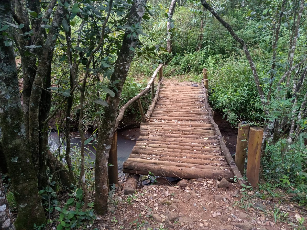 Sholla Ard 🇰🇪 tweet media