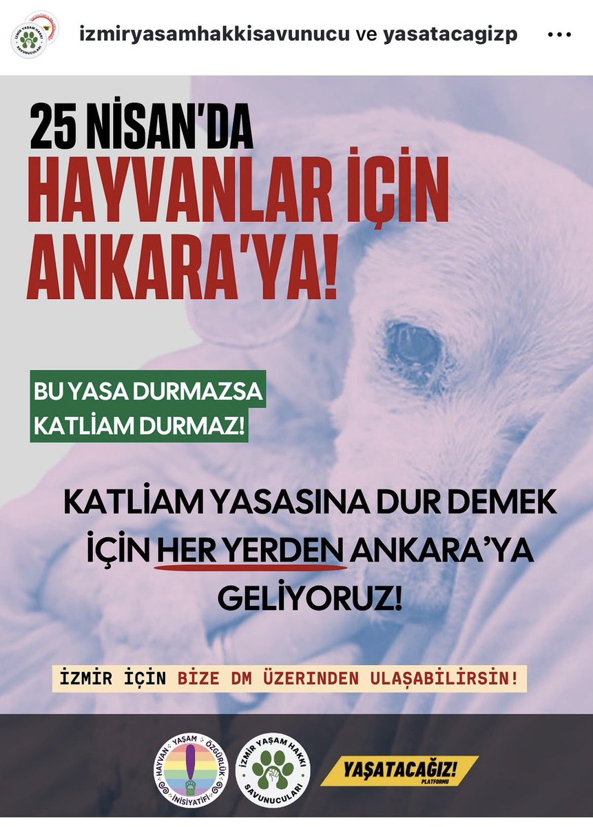 Serap Ulusoy 🦋 tweet media