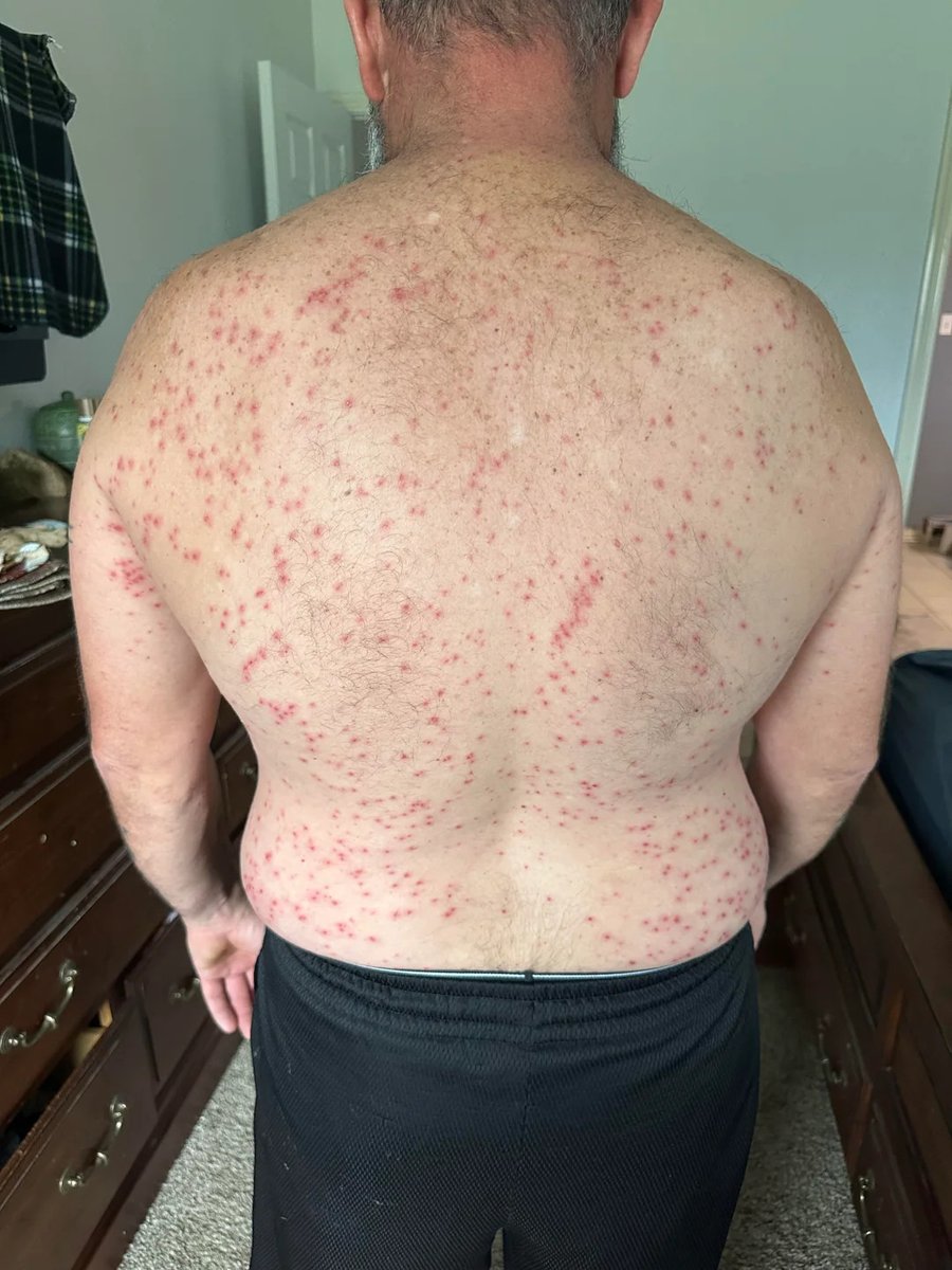 Liberta Cherguia 🇪🇺 tweet media