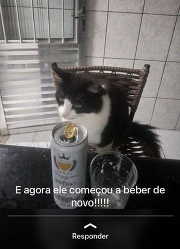 puta que pariu games tweet media