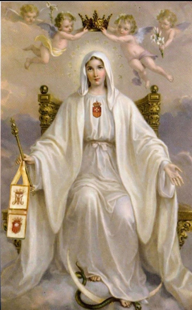 𝚕𝚒𝚝𝚝𝚕𝚎 𝚘𝚗𝚎 ♱🇻🇦 tweet media