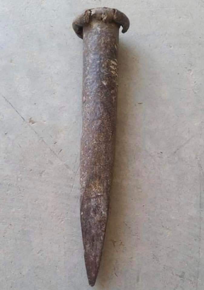 Lily Rosewood tweet media