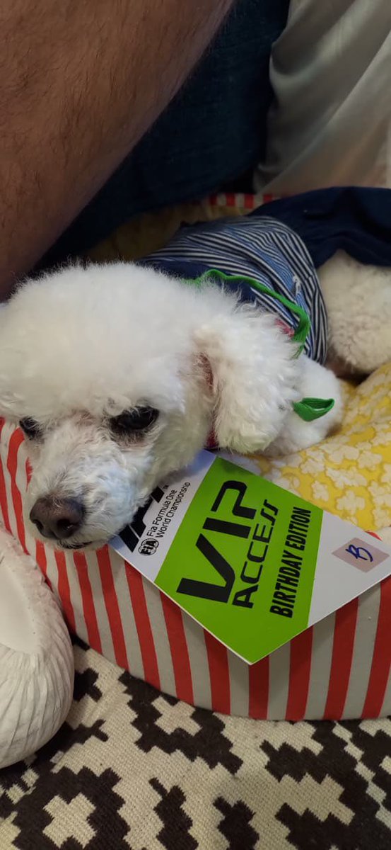 Beatriz Rosenburg tweet media