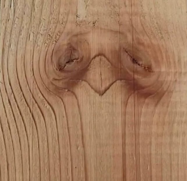 Katrinka tweet media