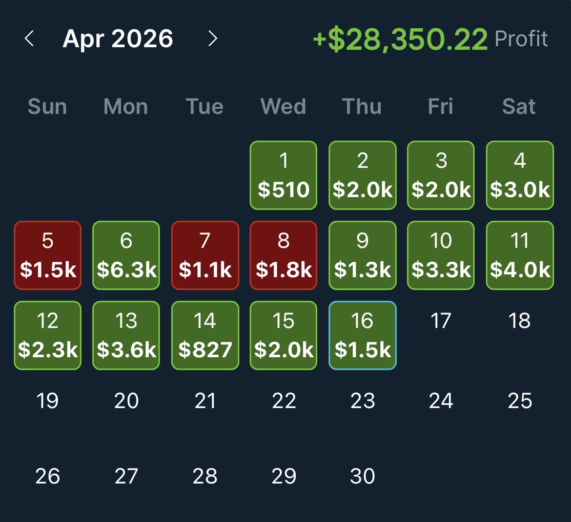 Mucci 🐻 tweet media