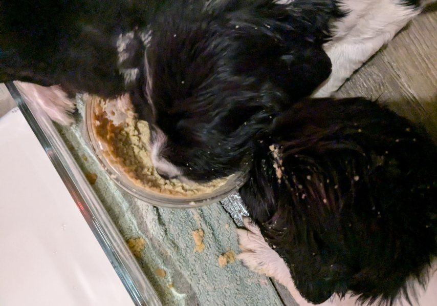 Big Yahu's Gaza Victory Royale Groyper 🇮🇱 tweet media