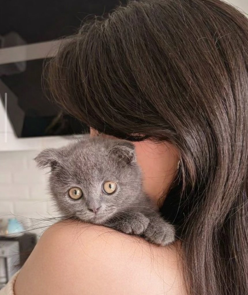 just freedom🇮🇷 tweet media