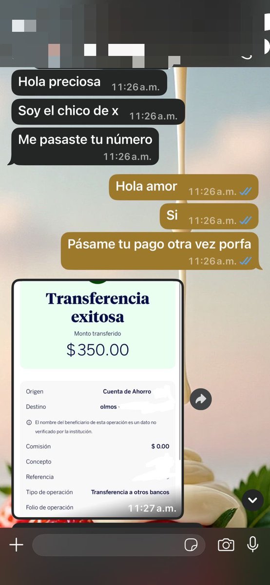 Cinthya Olmos tweet media