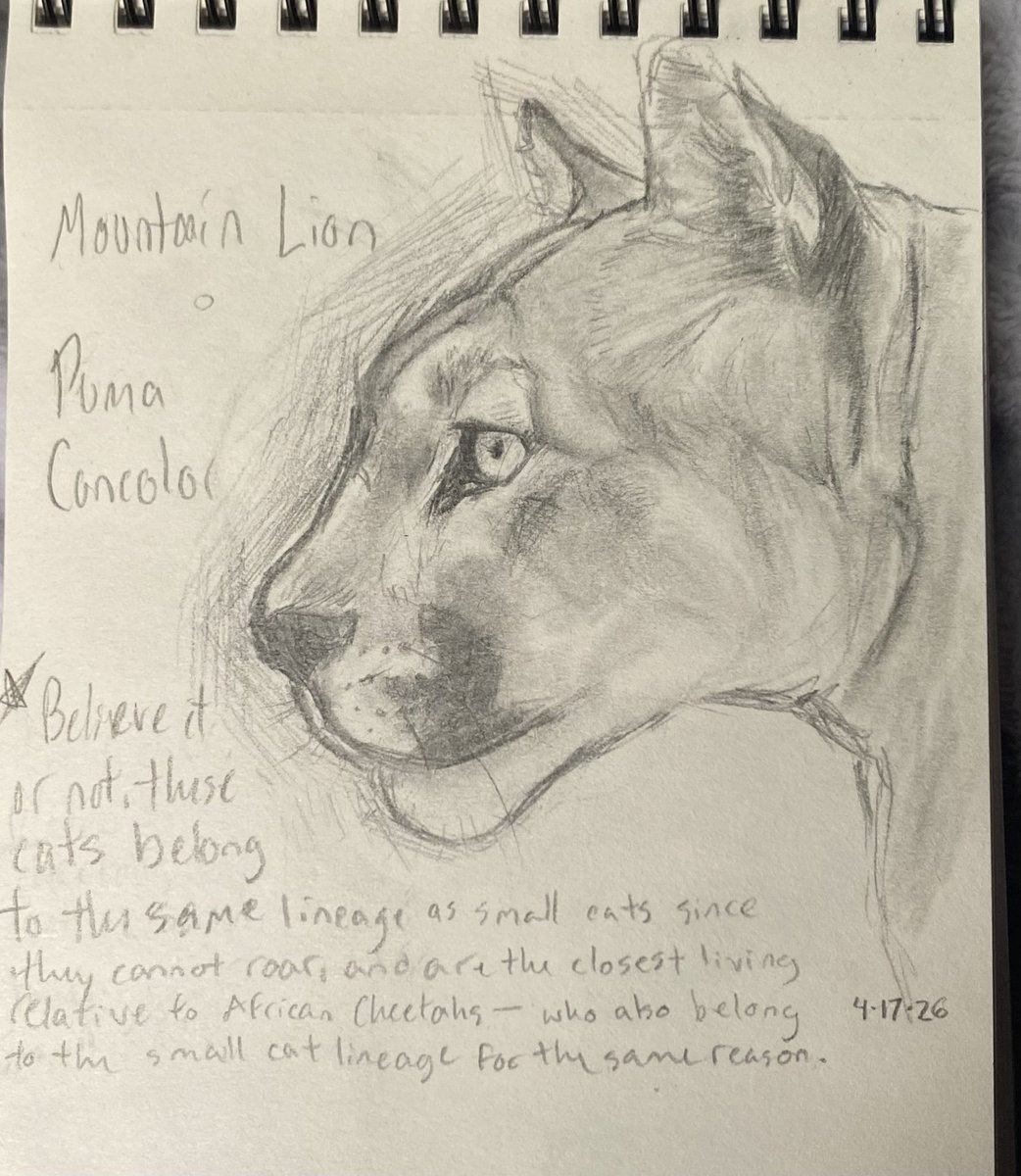 Dakota | worlds #1 omega tweet media