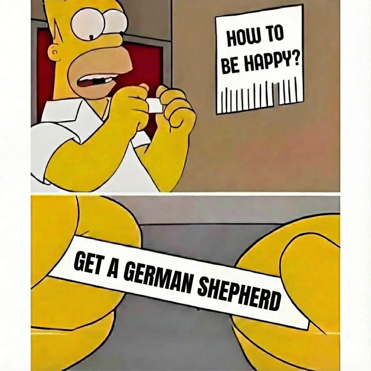 JamieFairchild tweet media