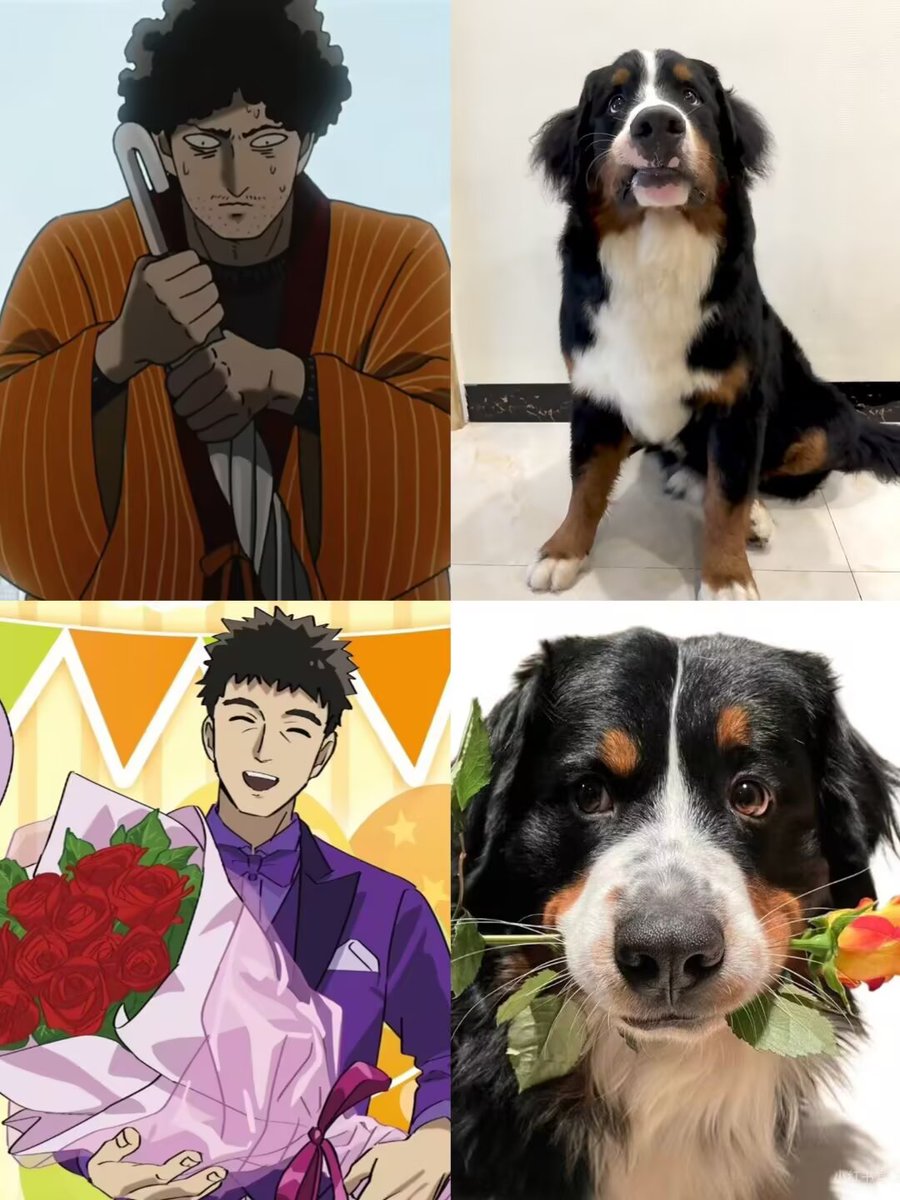 十 | 鸟 tweet media