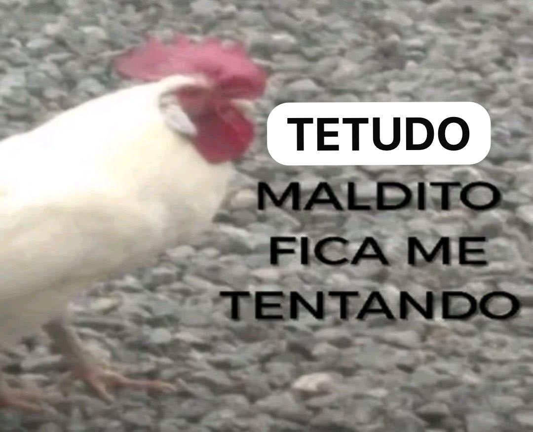 avaliador de tetas masculinas tweet media