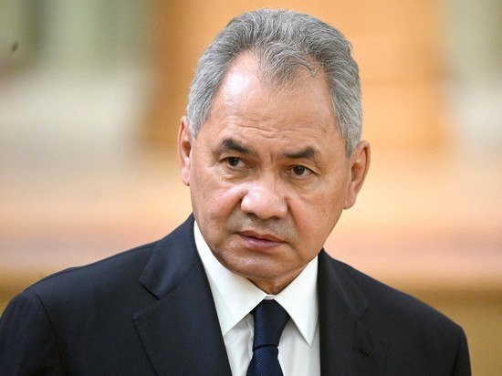 Alina Lipp tweet media