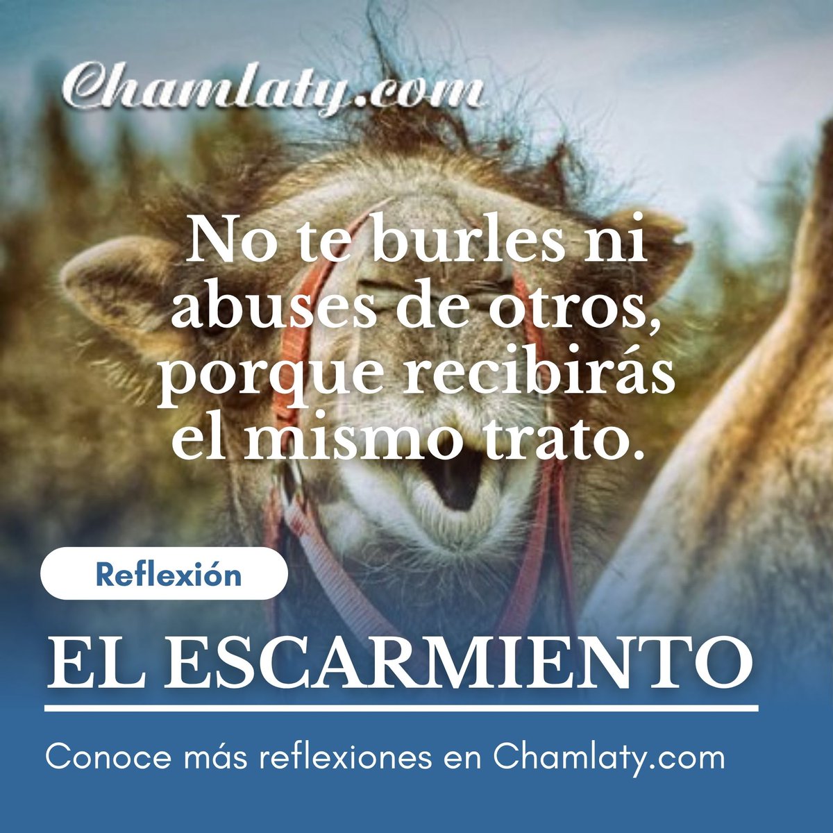 CTI_actualiza's tweet image. 🐪🦊 Una historia breve, ingeniosa y con un giro que deja claro cómo el ingenio puede poner límites a las burlas.
Ideal para reflexionar, reír un poco y recordar que toda acción tiene consecuencias.
chamlaty.com/2021/11/06/el-…

#BarraActualizandome #reflexiones