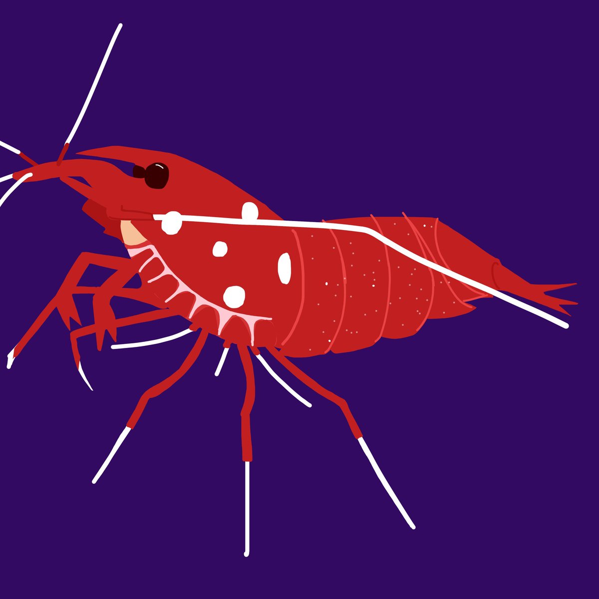 Frizzles tweet media