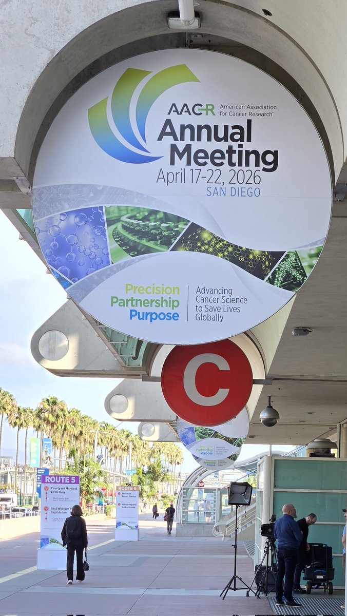 Pablo Sanchis tweet media