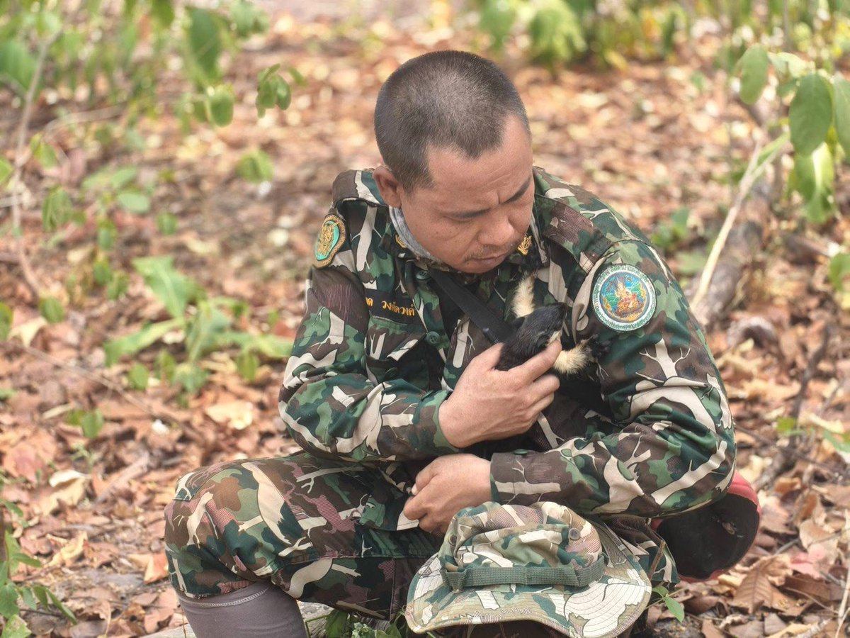 กรมอุทยานแห่งชาติ สัตว์ป่า และพันธุ์พืช tweet media