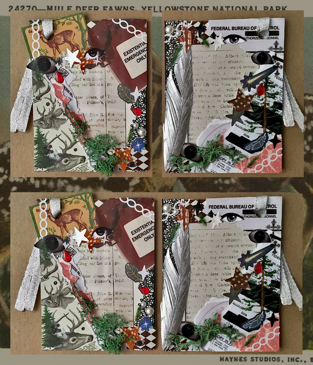 look at these photocards i just finished for a comm!! ⋆˚꩜｡🌲☎️
#vgencomm #toploaderdeco