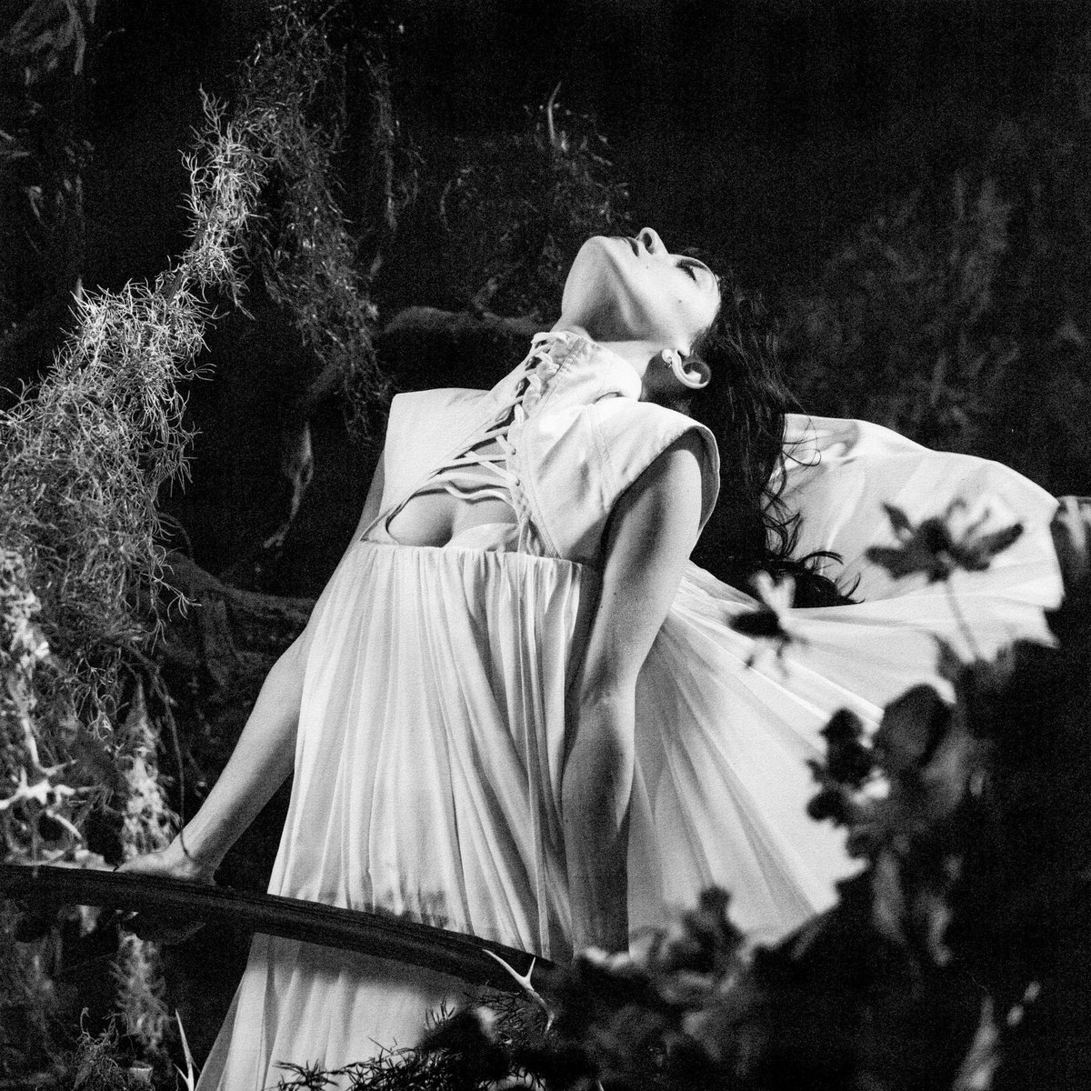 Pop Base tweet media