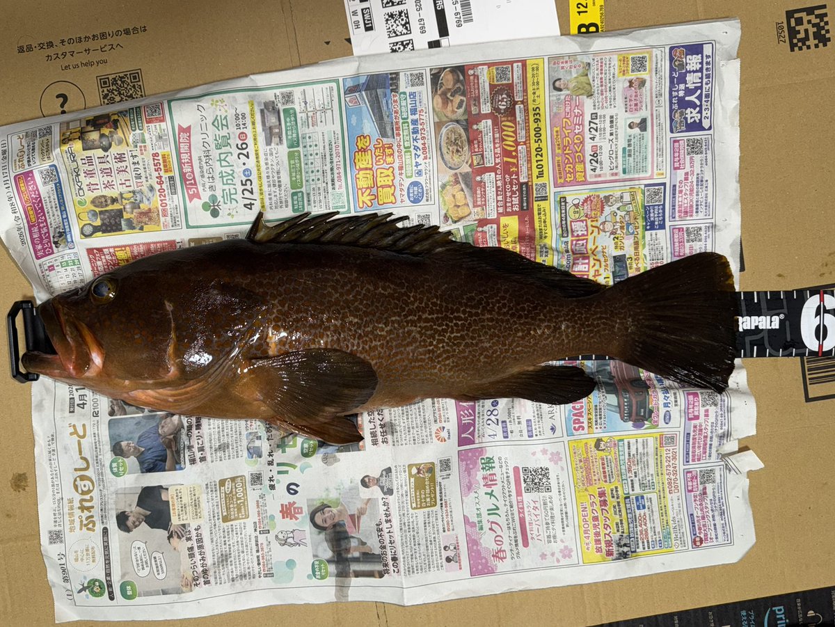 SRmasaApe's tweet photo. そして自己ベスト更新
人生初の50UP! https://t.co/0DoxlOjFJa