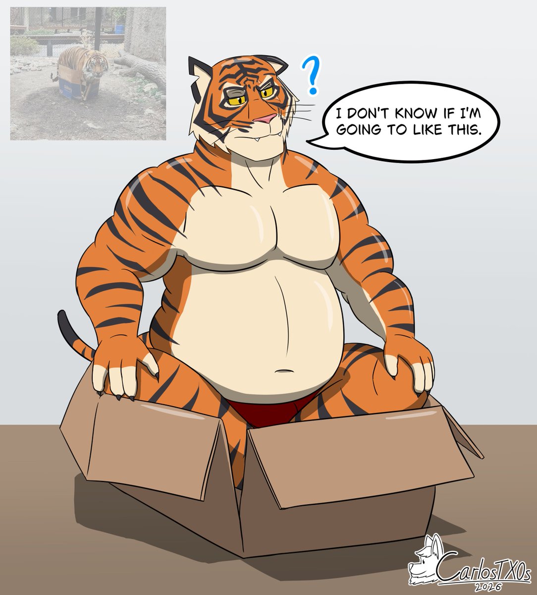 CarlosTXOs's tweet photo. Oscar and the box 🐯📦 https://t.co/LZZjliioXO