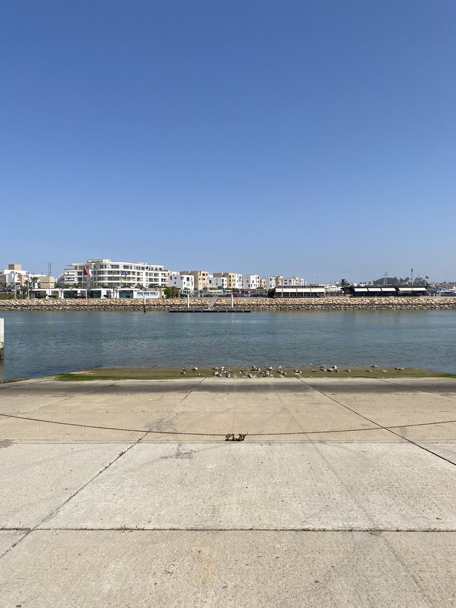 Abdel ELBYع tweet media