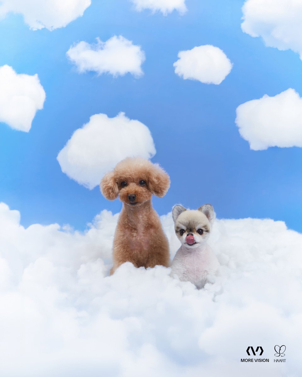 💚🩵💜 tweet media