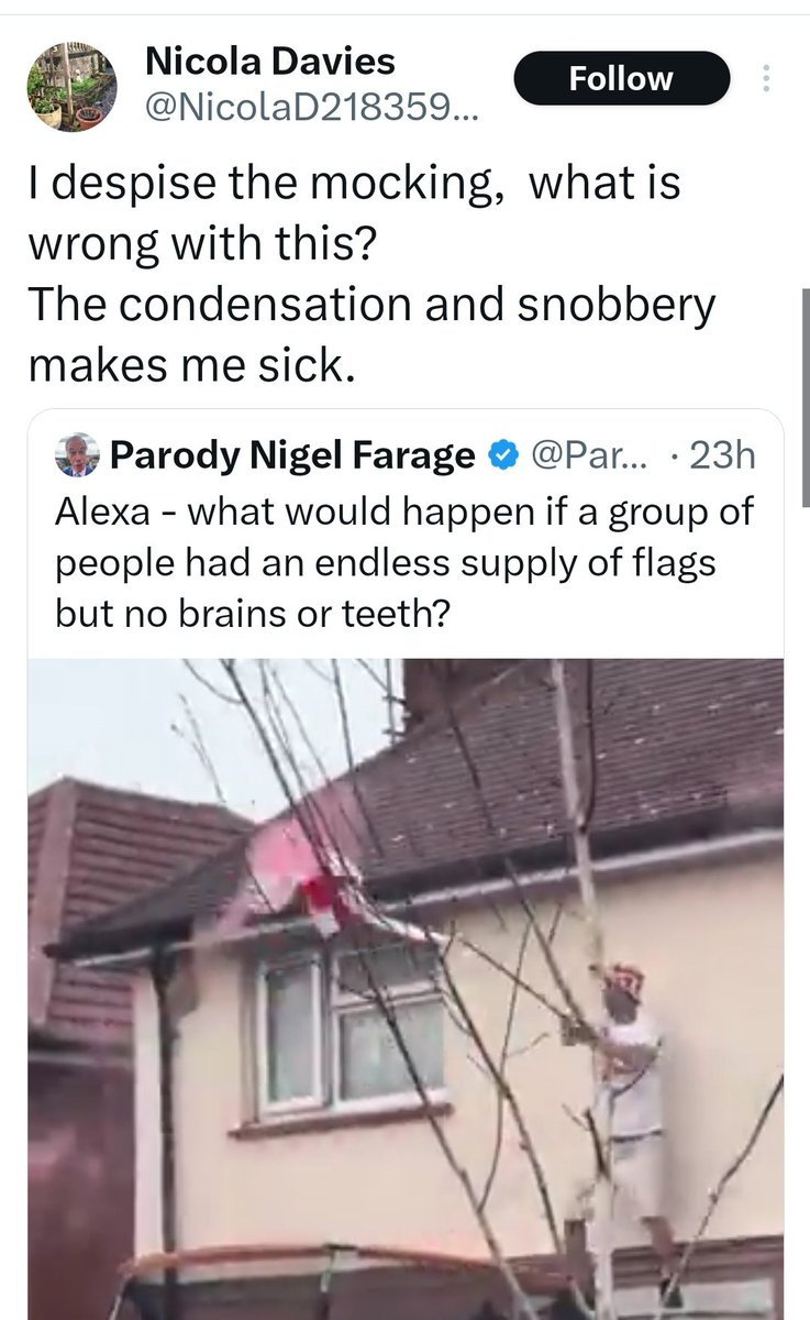 Parody Nigel Farage tweet media