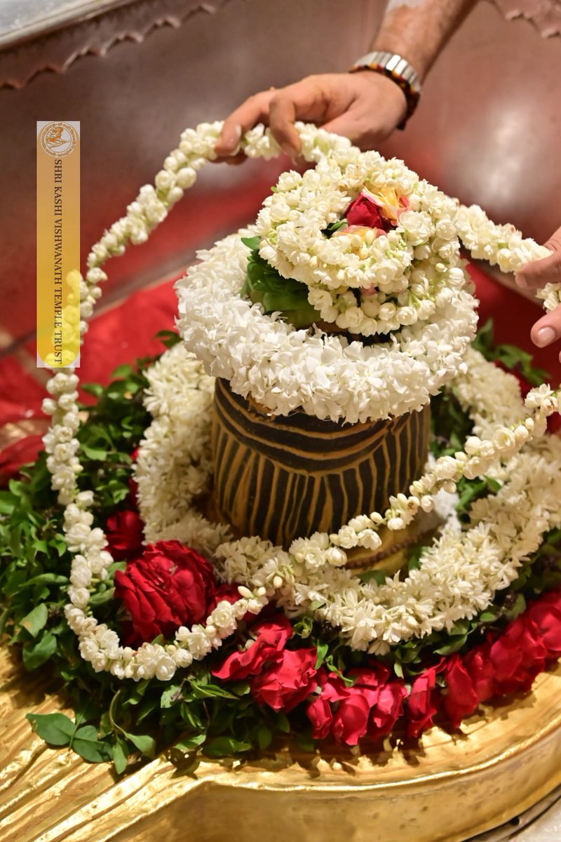 ShriVishwanath's tweet image. श्री काशी विश्वनाथ जी की श्रृंगार आरती I
#kashivishwanath #kashi #hindu #sanatandharm