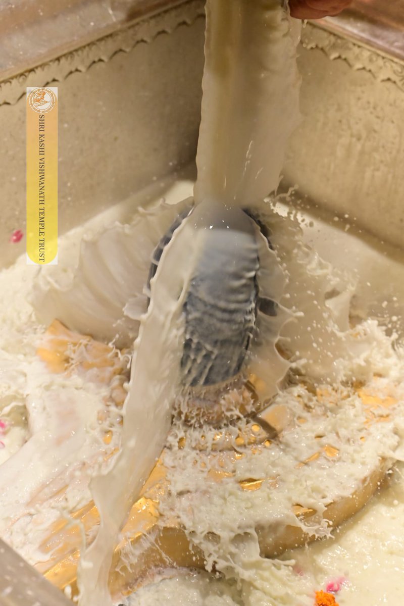 ShriVishwanath's tweet image. श्री काशी विश्वनाथ जी की श्रृंगार आरती I
#kashivishwanath #kashi #hindu #sanatandharm