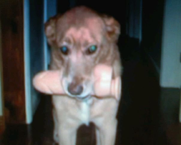 InSideGoDsHed tweet media