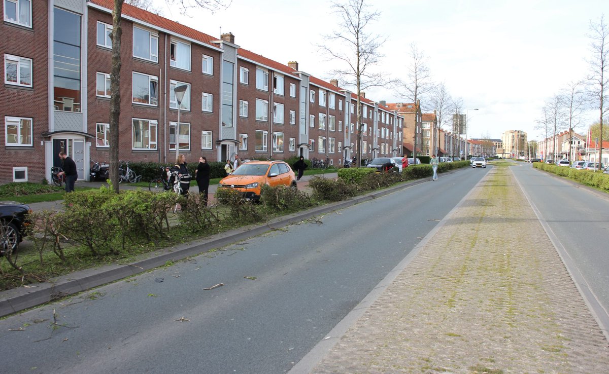 Automobilist rijdt bosjes uit de grond langs Valeriusstraat Leeuwarden