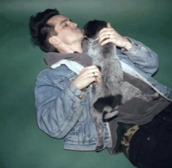 Mchickenbutt🐾 tweet media