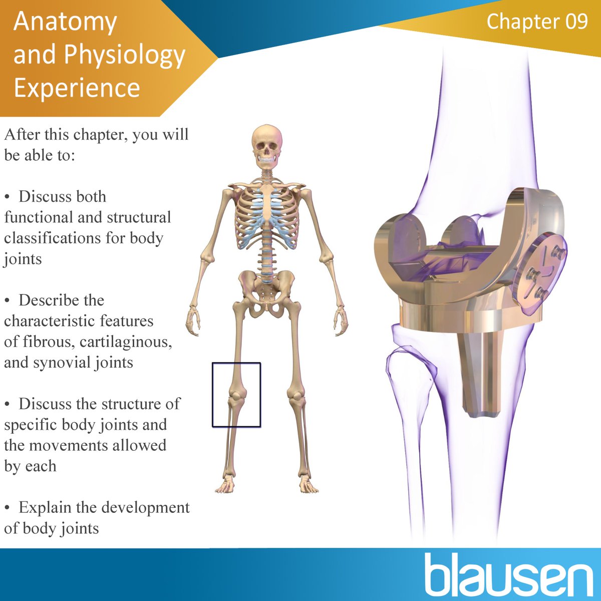 deanned127's tweet image. At: vitalsource.com/products/the-c… | Discover 2,000+ A&amp;amp;P quiz questions, linked to 3D animations, illustrations, and 3D 360 interactive models, to increase comprehension and retention, ensuring that students stay on target to pass the standard A&amp;amp;P exam!
.
.
#eLearning #LMS #HAPS