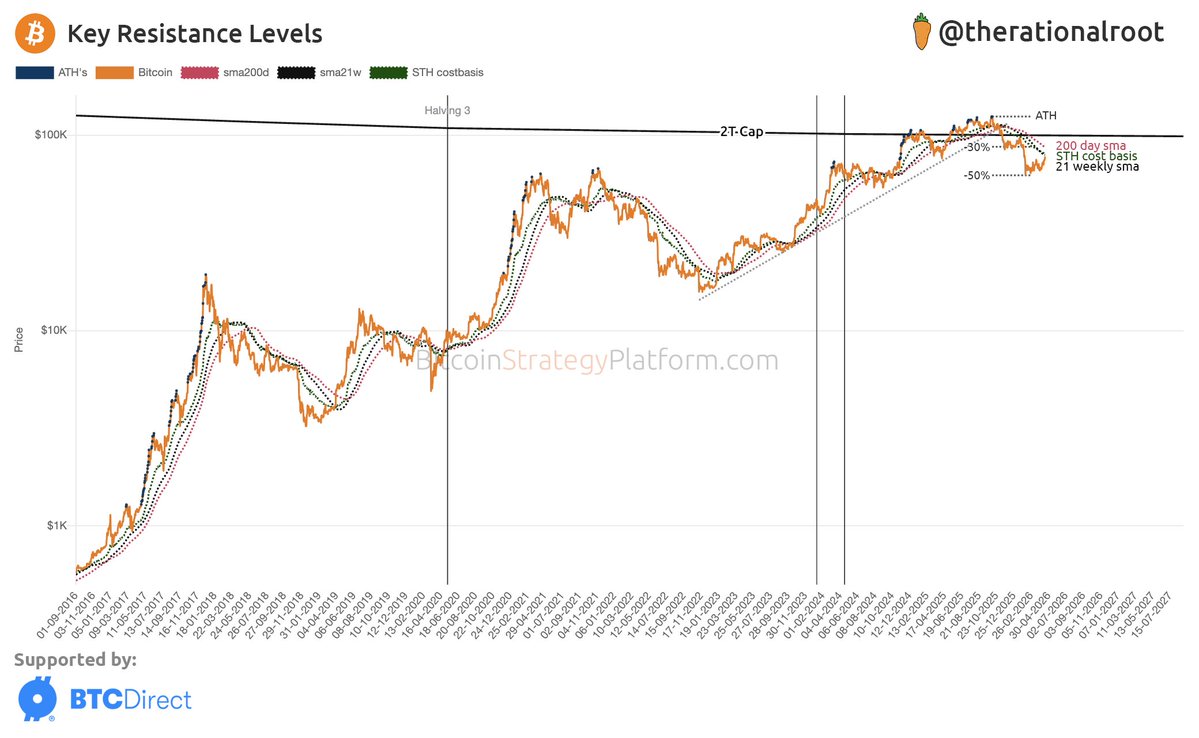 Root 🥕 tweet media