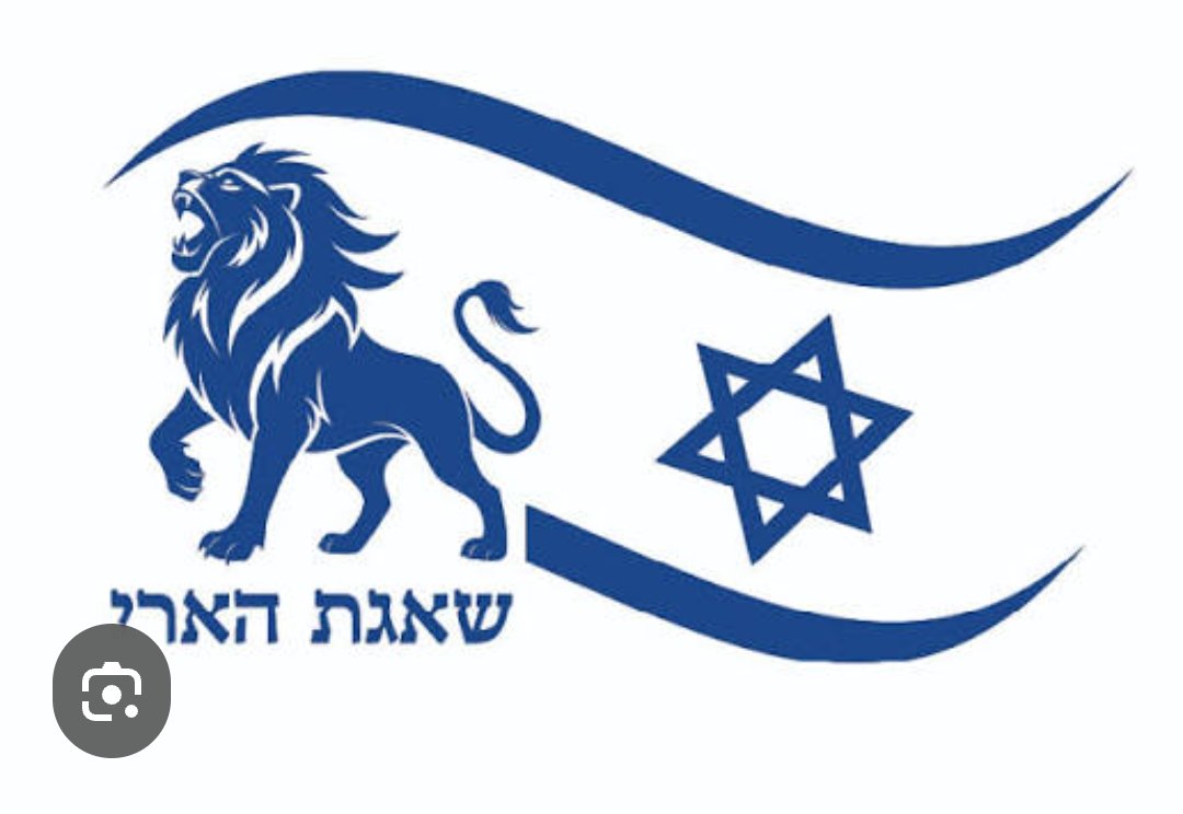 Ali Chreif tweet media