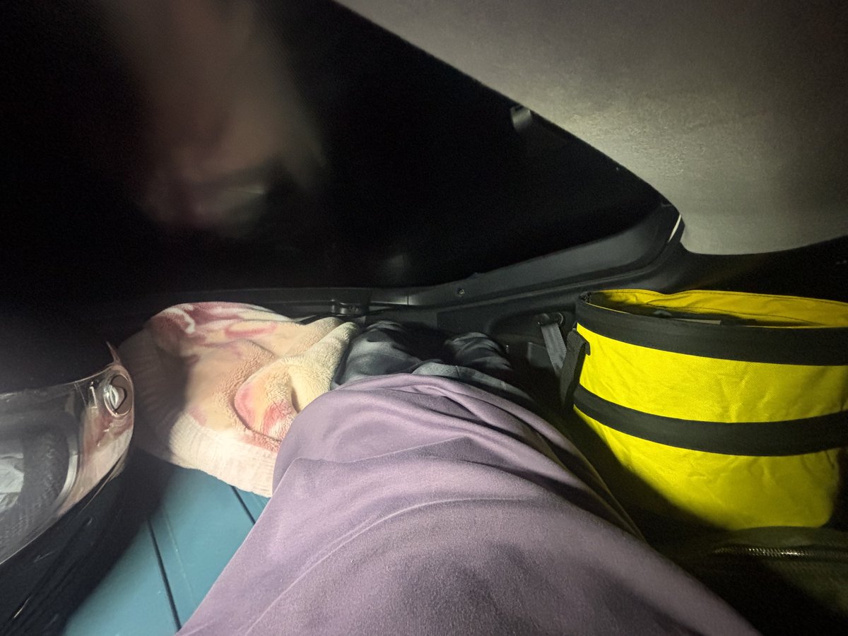 リファ tweet media